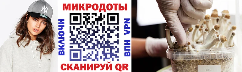 Псилоцибиновые грибы Magic Shrooms Цимлянск
